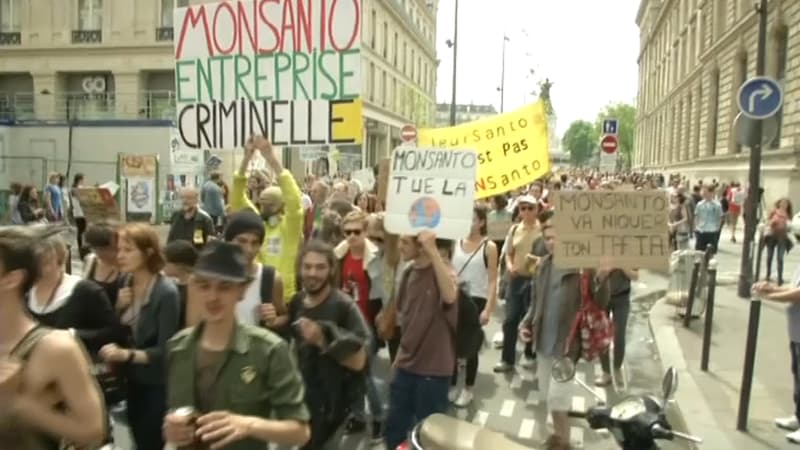 "Monsanto, entreprise criminelle", les manifestants n'ont pas de mots assez durs contre l'entreprise américaine.