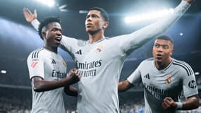 Illustrations du jeu FC 25