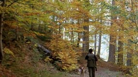 Le quadragénaire aurait glissé alors qu'il se trouvait dans une pente recouverte d'herbe. Or, son fusil n'était pas cassé et un coup est parti accidentellement. 