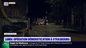 Strasbourg: une opération démoustication prévue