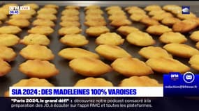 Des madeleines 100% varoises au Salon de l'agriculture