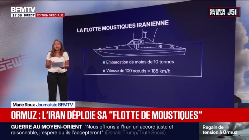 LES ÉCLAIREURS - Détroit d'Ormuz: l'Iran déploie sa "flotte de moustiques"