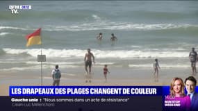 Des nouveaux drapeaux sur les plages françaises 