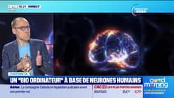 Culture IA : Un "bio ordinateur" à base de neurones humains, par Anthony Morel - 27/06