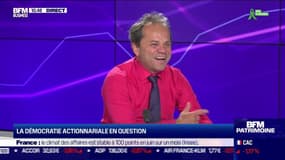Le coup de gueule de Filliatre : La démocratie actionnariale en question - 22/06