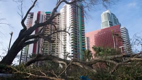 Après le passage de l'ouragan Irma, à Miami, lundi 11 septembre 2017