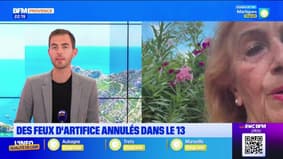 Feux d'artifice du 14 juillet : le risque incendie reste élevé en Provence