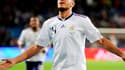 Hatem Ben Arfa