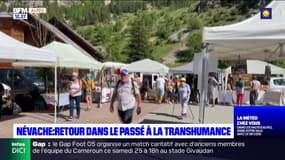 Névache: retour dans le passé à la transhumance