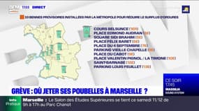 Grève des éboueurs à Marseille: des bennes provisoires mises en place