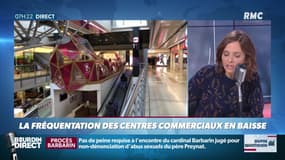 Dupin Quotidien : La fréquentation des centres commerciaux en baisse - 10/01
