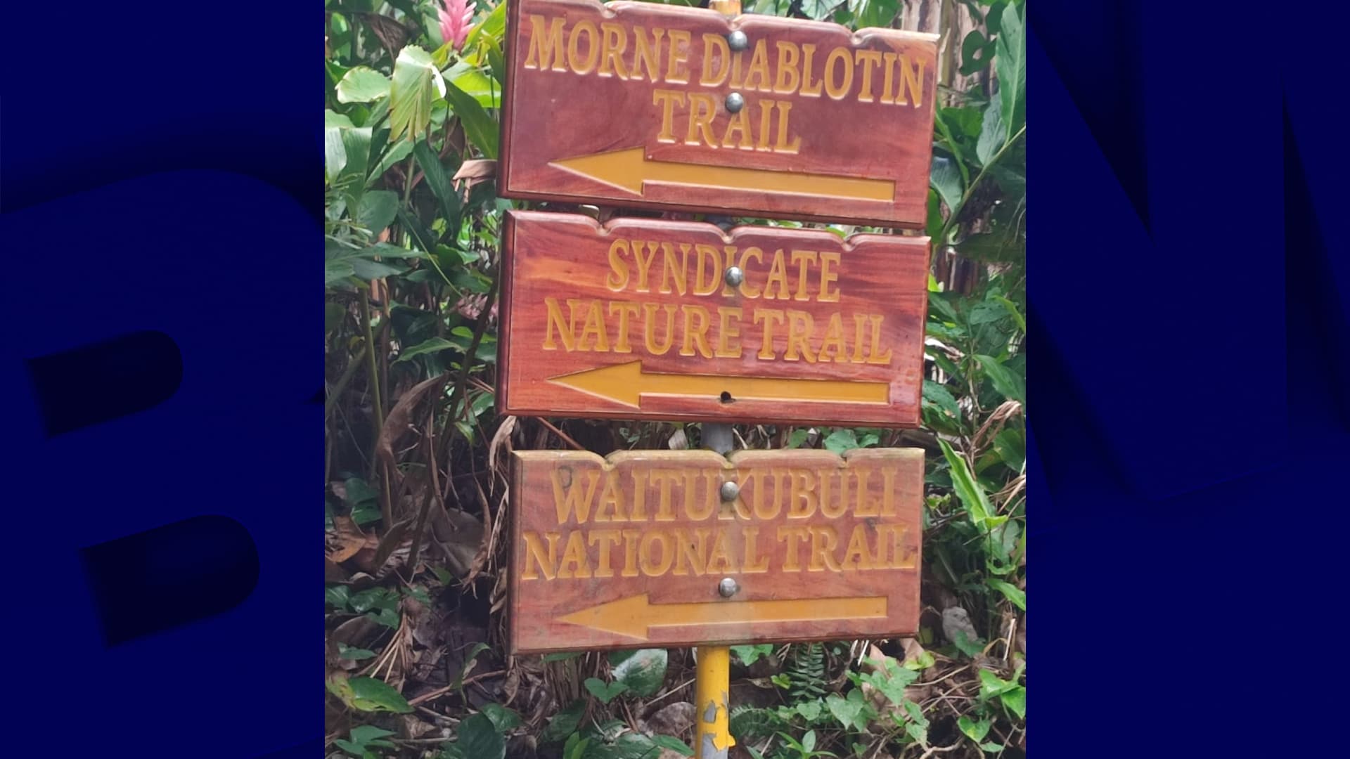 La jeune femme devait randonner sur le Waitukubuli National Trail, un chemin de randonnée de 185 km en Dominique. La jeune femme devait randonner sur le Waitukubuli National Trail, un chemin de randonnée de 185 km en Dominique.