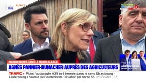 Inondations en Alsace: la ministre de l'Agriculture Agnès Pannier-Runacher auprès des agriculteurs