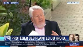 Comment protéger ses plantes du froid ?
