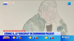 Procès des viols de Mazan : un “disciple” de Dominique Pelicot glace la cour 