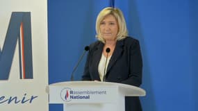 La présidente du RN Marine Le Pen, le 25 janvier 2021