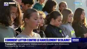 Alsace: comment lutter contre le harcèlement scolaire