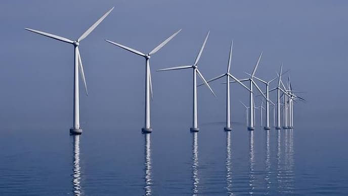 Emmanuel Macron veut 50 parcs éoliens en mer d'ici 2050