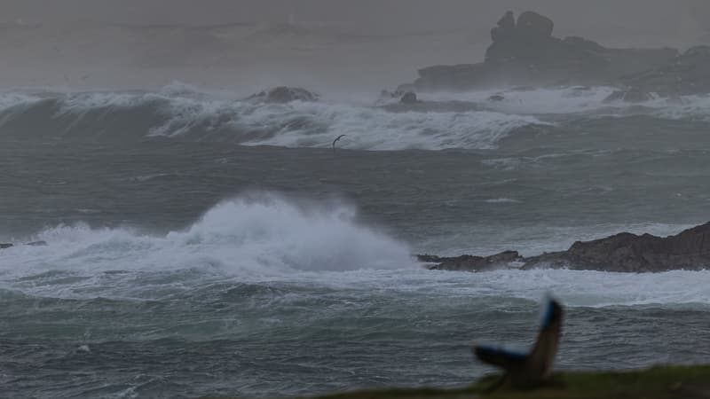 Tempête Goretti: 33 départements en vigilance orange pour vents violents, deux d'entre eux concernés par un risque de vague-submersion