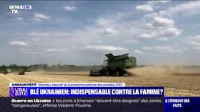 Blé ukrainien : indispensable contre la famine ? - 05/11