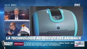 La chronique d'Anthony Morel : La technologie au service des animaux de compagnie - 02/11