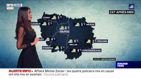 Météo Paris-Ile de France du 30 novembre : Du froid et de la grisaille