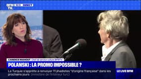 Polanski: la promo impossible ? - 12/11
