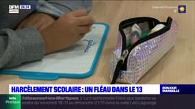 Harcèlement scolaire : un fléau dans l'académie d'Aix-Marseille
