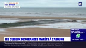 Calvados: de nombreux curieux lors de l'épisode exceptionnel de grandes marées