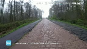 À la découverte de la trouée d'Arenberg