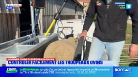 Gréoux-les-Bains: contrôler facilement les ovins grâce à la contention 