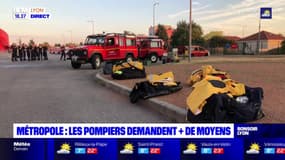 Métropole : les pomiers demandent plus de moyens