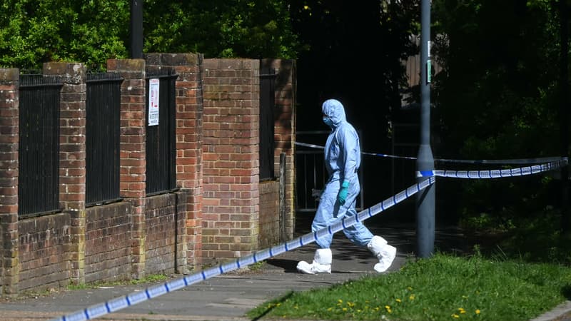 Deux jeunes de 17 et 19 ans arrêtés après une nouvelle tentative d'incendie contre une synagogue à Londres