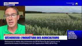 Sécheresse: quelles solutions pour les agriculteurs?