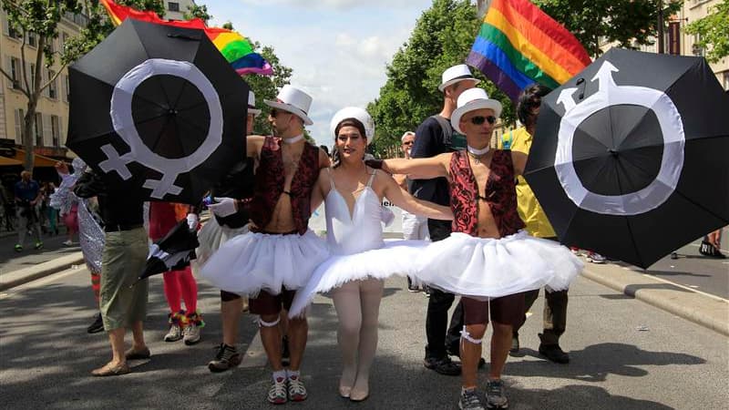 Des dizaines de milliers de personnes ont participé samedi à Paris à la Marche des fiertés pour fêter la loi Taubira sur le mariage pour tous adoptée il y a deux mois et mettre en avant les combats à venir. /Photo prise le 29 juin 2013/REUTERS/Gonzalo Fue