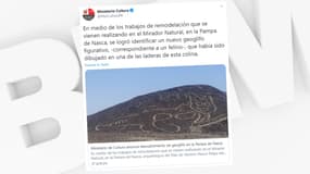 Le dessin d'un félin a été découvert sur le site des lignes de Nazca au Pérou.