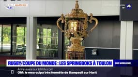 Coupe du monde de rugby 2023: les Springboks à Toulon