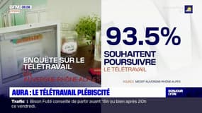 Le télétravail plaît aux salariés d'Auvergne-Rhône-Alpes, selon une étude