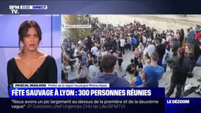 Fête sauvage à Lyon: 300 personnes réunies - 30/03