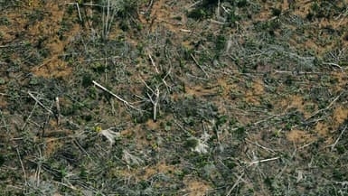 Vue aérienne d'une zone de déforestation de la forêt amazonienne, le 23 août 2019 près de Porto Velho, dans le nord du Brésil