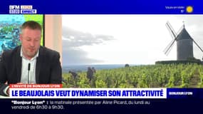 Le Beaujolais veut dynamiser son attractivité