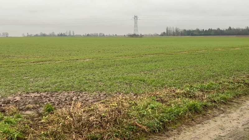 20 hectares, 700 détenus: le projet de prison à Saint-Saulve suscite les interrogations