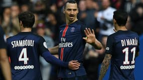 Zlatan Ibrahimovic (PSG)
