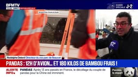 Départ de pandas du zoo de Beauval vers la Chine: "Une page se tourne", explique le directeur du zoo