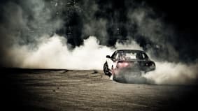Immersion dans les courses sauvages
