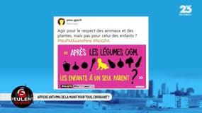 Les GG veulent savoir : L'affiche anti-PMA de la Manif Pour Tous vous choque-t-elle ? - 09/10