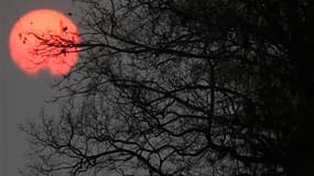 L'année 2010 a été la plus chaude jamais enregistrée sur Terre depuis les premiers relevés en 1880, à égalité avec 2005. /Photo d'archives/REUTERS/Ricardo Moraes