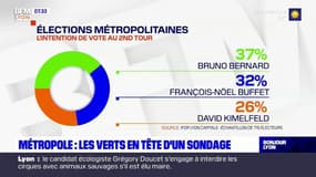 Élections métropolitaines à Lyon: les Verts en tête, selon un nouveau sondage