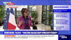Droits de douane de 15% pour l'UE: "Tout est encore ouvert à la négociation", indique Annie Genevard, ministre de l’Agriculture 