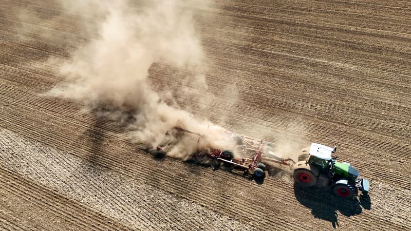 Maïs, pommes de terre, betteraves: comme en France, les agriculteurs allemands craignent aussi des récoltes faibles voire "totalement perdues" à cause de la sécheresse et de la canicule